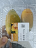 佳沛（zespri）新西兰阳光金奇异果10粒巨大果单果146-175g 猕猴桃水果礼盒 实拍图
