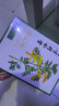 同仁堂御医匠 艾草膝盖贴 养生艾灸贴膝盖关节 艾草贴 12贴/盒  实拍图