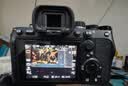 索尼ILCE-7M4全画幅微单数码相机4K 60p直播视频录制 sony a7m4 五轴防抖A7M4 A7M4单机身 官方标配【推荐购买套餐】 实拍图