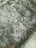一播大地 牧草种子紫花苜蓿 菊苣 高丹草种子 玉米草种子家禽牲口养殖 一年生黑麦草净籽一斤 实拍图