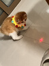 憨憨乐园猫玩具红外线逗猫激光笔逗猫棒幼小猫咪玩具USB充电伍德氏猫癣灯 实拍图