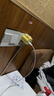 Apple/苹果 20W type-c充电器 苹果usb-c充电器原装手机快充头 旗舰店苹果iphone17/16/15promax充电器 实拍图