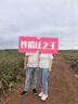 迷你巴拉【亲子装】巴拉儿童短袖T恤速干舒适抗菌亲子装成人简约长袖T恤 奶白 【纯色亲子装】 160 实拍图