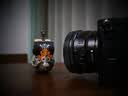 索尼（SONY）FE 40mm F2.5 G 全画幅定焦G镜头 (SEL40F25G) FE 40F2.5G 官方标配 实拍图