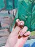 银千惠施华洛世奇水晶999纯银耳针星期耳钉女士轻奢耳环生日礼物送女友 一周耳钉套装/七对/十倍真空电镀+七仓配送/当次日达 女生女士礼物/2026新款高级感小众/足银针配证书 实拍图
