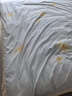 罗莱家纺 全棉四件套纯棉双人被套被罩床单床上用品 家居馆200*230cm 实拍图
