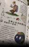 讲给孩子的二十四节气 中国传统文化与自然科学启蒙绘本（套装4册）  晒单实拍图