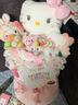 AWHAHelloKitty玩偶花束库洛米卡通毛绒玩偶花束生日礼物送女朋友 糖果色hellokitty玩偶花束+礼袋灯串 实拍图