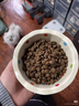 网易严选猫湿粮零食浓汤大口肉罐头鸡肉+三文鱼 85g*24罐 实拍图