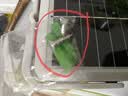 颖朗太阳能户外灯露营帐篷营地摆摊照明庭院应急挂灯多功能便携led灯 便携式多功能太阳能照明灯 实拍图