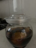 湾琴河 酱洋姜500g 山东特产鬼子姜咸菜下饭菜腌泡菜榨菜八宝 实拍图