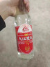 九江双蒸豉香型白酒 双蒸系列佳品经典 29.5度610ml口粮酒广东米酒自饮 实拍图