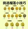 十月稻田 当季新米 绿色食品 五常大米 10斤(香米 东北大米 5kg) 实拍图