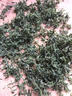 Smorss【2片装】适用苹果17后背膜iphone17磨砂手机膜全包保护背膜防指纹防刮花贴膜 实拍图