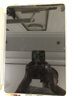绿联适用iPad9/8/7钢化膜10.2寸保护膜第七八九代2021/20/19款苹果平板屏幕防摔防指纹高清贴膜 实拍图
