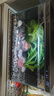 米家小米米家智能生态鱼缸还原自然生态补仓一次三月无忧出差旅行必备 实拍图
