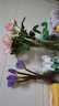 吕姆克花瓶玻璃花瓶摆件工艺品插花仿真干花富贵竹水养花瓶中号透明5043 实拍图
