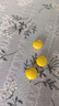 3盒藿香清胃片36片治口臭药口臭口干去胃火胃热用药口苦嘴巴臭去胃火肝火藿香清胃丸藿香胶囊效药京东大药房 实拍图