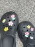 范爷家洞洞鞋配饰女可爱少女心diy鞋花10颗装适配crocs鞋扣立体装饰配件 实拍图