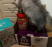 BNBNO不锈钢猫砂铲猫屎铲细孔小孔铲屎神器豆腐矿砂专用筛网铲子猫砂铲 实拍图
