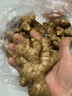 言片光云南小黄姜 生姜 新鲜现挖老姜月子姜生鲜火锅食材 净重0.5斤【有坏包赔】 【品质小黄姜】原产地直发 实拍图