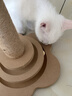 HELLOJOY猫抓柱剑麻猫抓板猫玩具耐抓耐磨不掉屑猫爬架立式自嗨解闷用品 实拍图