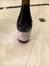 奔富（Penfolds）Bin150玛拉南戈西拉干红葡萄酒 原瓶进口红酒 750ml*1瓶【澳版】 实拍图