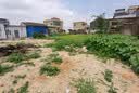 德力西电气（DELIXI ELECTRIC）电动割草机充电式锂电池打草机家用2.0晋级版2电1充 实拍图