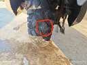 酷莱普补胎工具套装汽车补胎真空胎补胎胶条工具套盒应急救援 KLP-202 实拍图