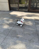 索迪六一礼物AI智能机器人遥控汽车机器狗猫婴幼儿童宝宝玩具女孩生日 实拍图
