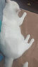 欢悦欢虎仔猫粮三文鱼添加小鱼干全价成幼猫通用猫粮英短美短全期猫粮 欢悦三文鱼全价猫粮10kg 实拍图