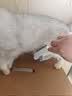 HELLOJOY猫梳子狗毛梳子宠物排梳密齿梳猫咪跳蚤梳直排狗狗专用钢梳去虱子 实拍图