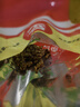 维艾（Newair）蒸蛋碗304不锈钢水蒸碗蛋羹专用碗带盖家用婴儿小炖盅盘宝宝神器 实拍图