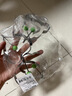 维简煎蛋模具煎鸡蛋神器煎饼荷包蛋爱心性圆形烘焙定性DIY模具 5个装 实拍图