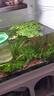 森森（SUNSUN） 鱼缸水族箱生态超白玻璃缸桌面水草缸客厅造景金鱼缸 【加宽超白】480*300*328mm带底膜 实拍图