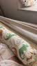 babycare婴儿安抚枕头宝宝多功能抱枕透气枕头6月-6岁-比奇角恐龙39*12cm 实拍图