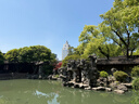 洁云卫生纸 加韧300张*10包 大规格压花抽纸厕纸平板纸厕所专用纸巾  实拍图