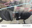 李宁（LI-NING）泳裤男士泳镜泳帽游泳包套组旅行温泉泳衣时尚游泳装备333黑XXXL 实拍图