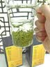 福茗源特级正宗信阳毛尖绿茶250g 栗香明前头采春茶嫩芽2026新茶叶礼盒 实拍图