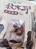 十月稻田 东北秋木耳 500g 黑木耳 小碗耳 干木耳 肉厚无根 火锅煲汤食材 实拍图