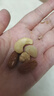 三只松鼠每日坚果孕妇健康混合干果果仁零食礼盒休闲食品节日送礼坚果礼盒 【7种坚果】100%纯坚果仁每日坚果750g 实拍图