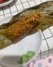 国芳粽子肉粽新鲜现做 梅干菜肉粽180gx8只 湖州非遗粽子源头直发 实拍图