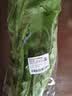 油麦菜约300g 实拍图