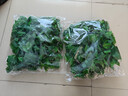 双盟仿真藤条绿萝叶婚庆节庆装饰假树叶藤蔓塑料花藤下水管道遮挡绿叶 实拍图
