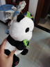 名创优品（MINISO）坐姿熊猫毛绒公仔毛绒玩具玩偶布娃娃抱枕送儿童节礼物生日礼物女 实拍图