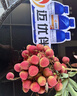 嘉宝（GERBER）原味+番茄牛肉+混合蔬菜味高铁米粉礼盒250g*3罐6月龄 实拍图