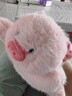 名创优品（MINISO）福莉丝猪系列趴姿公仔毛绒玩具玩偶抱枕娃娃生日礼物女 实拍图