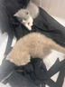 公牛（BULL）【一件包邮】插座/插线板/插排/排插/接线板/宿舍家用桌面拖线板  3C认证  8位总控开关1.8米 实拍图