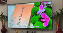 夏普【价保618】电视65英寸夏普自研画质算法 金属全面屏2+32GB 4K超高清高画质4T-C65GK5000A 实拍图