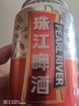 爸爸妈妈风筝儿童潍坊成人特大美人鱼风筝线轮盘高档亲子户外玩具生日礼物 实拍图
